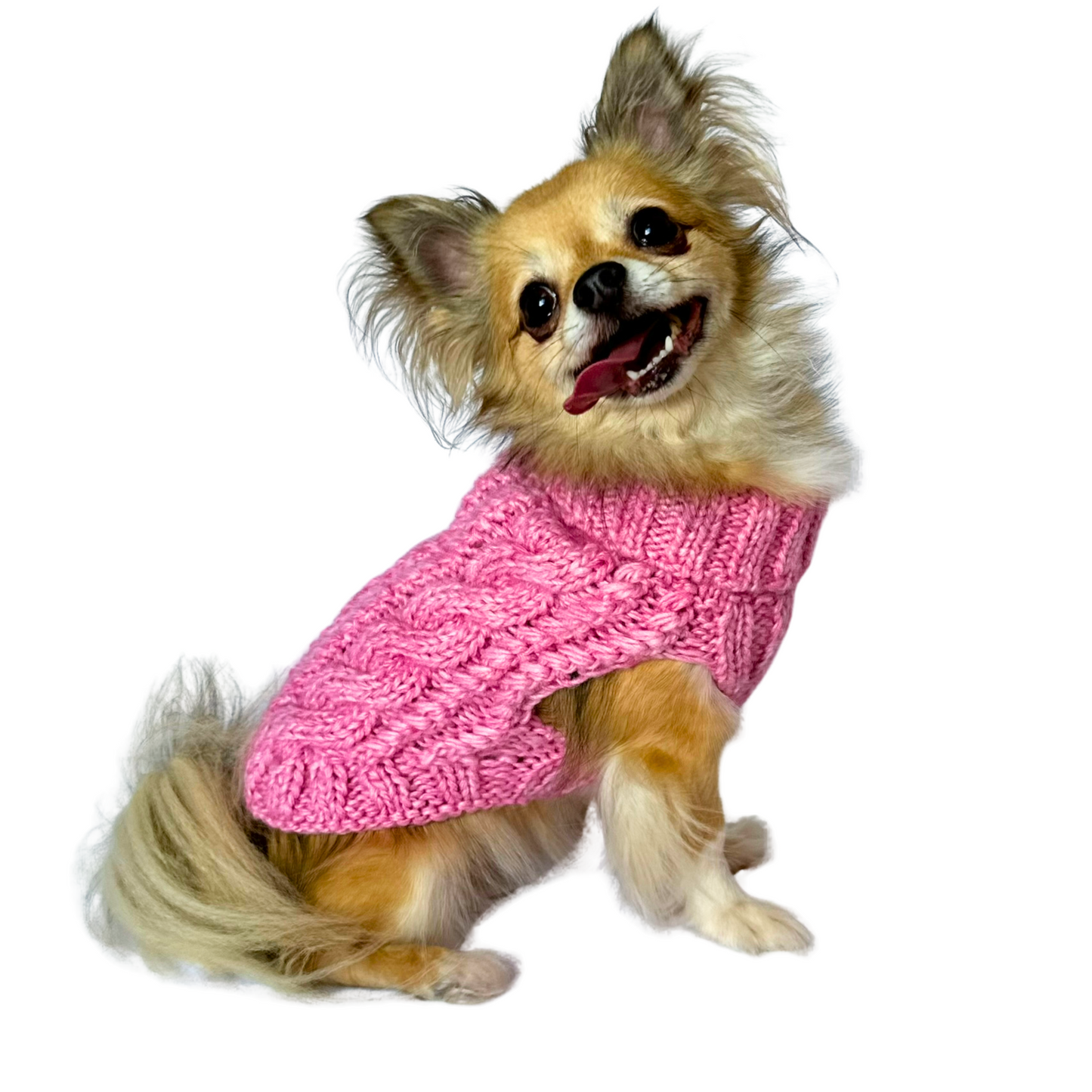 Small Dog Sweater