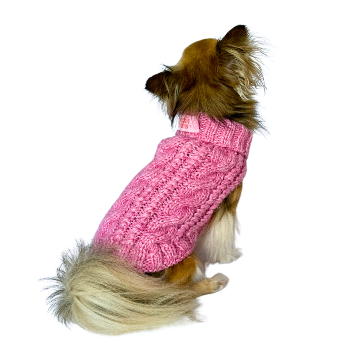 Small Dog Sweater